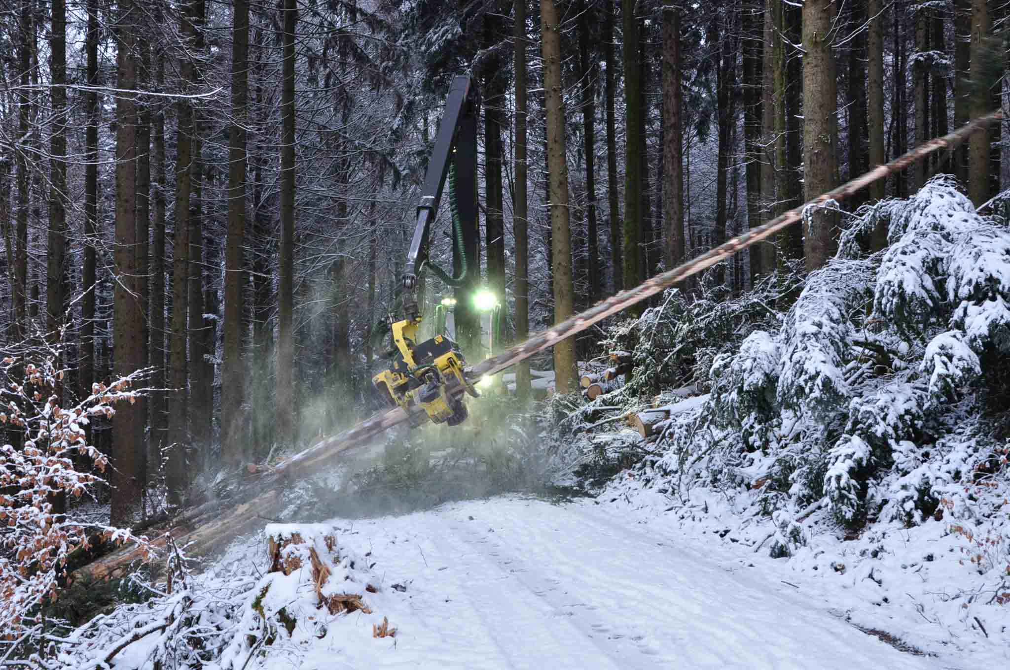 Waldbewirtschaftung im Zofinger Baanwald, in Zusammenarbeit mit Forstunternehmung Ehrenbolger & Suter AG